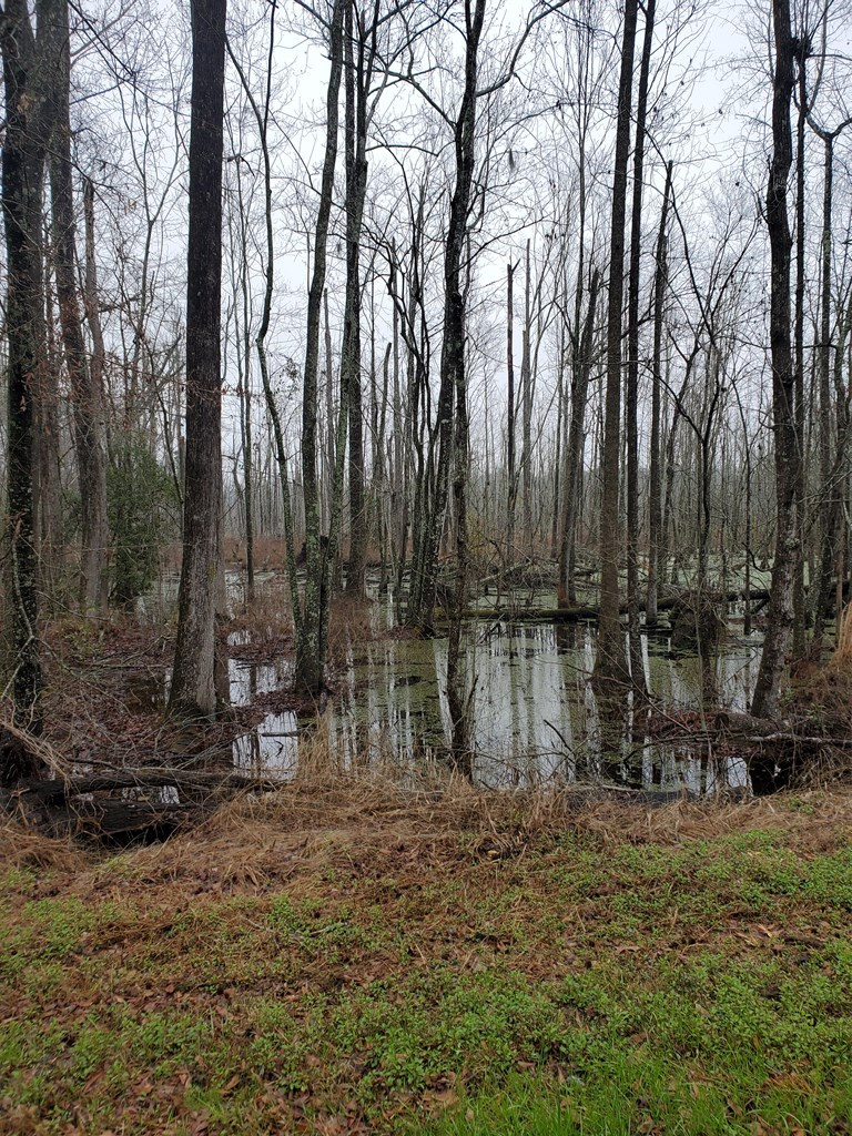 0 Millett Road Martin, SC 29836 - Photo 2 of 5