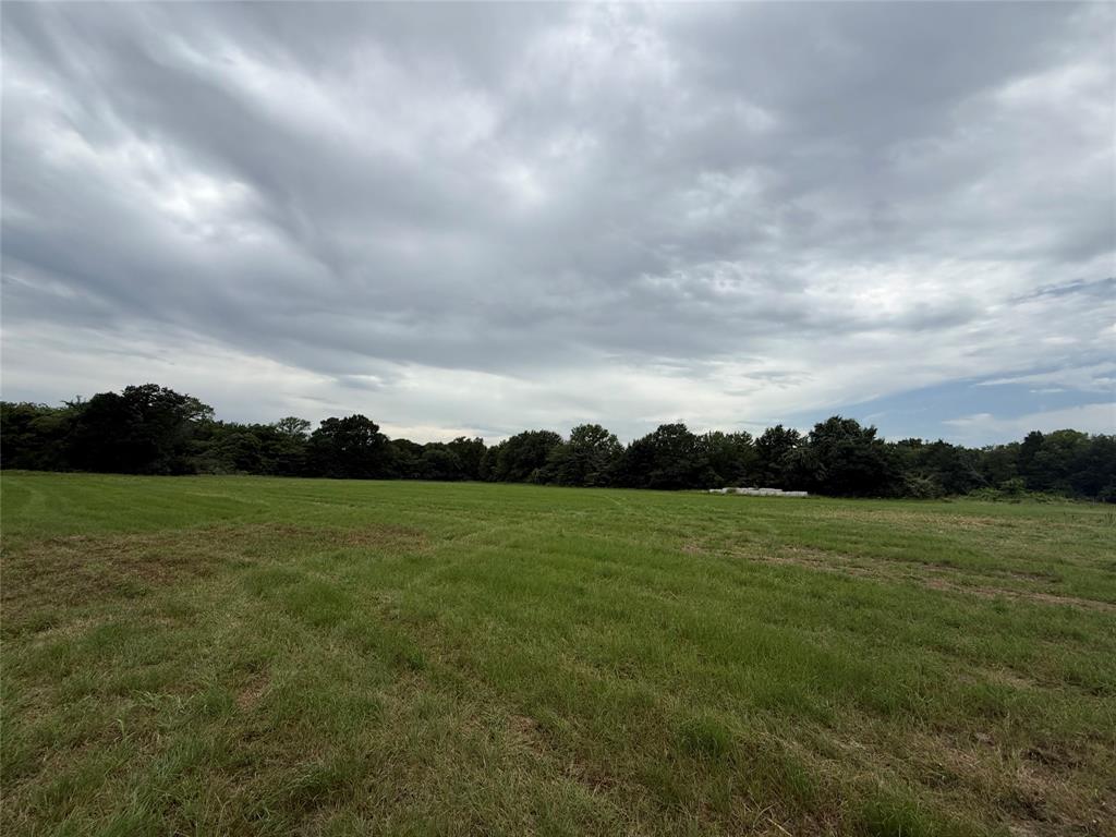 313 Co Road Terrell, TX 75161 - Photo 4 of 7