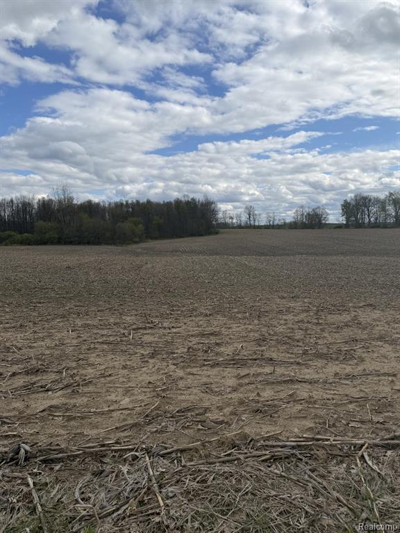 0 Thom Road Black River, MI 48721 - Photo 1 of 3