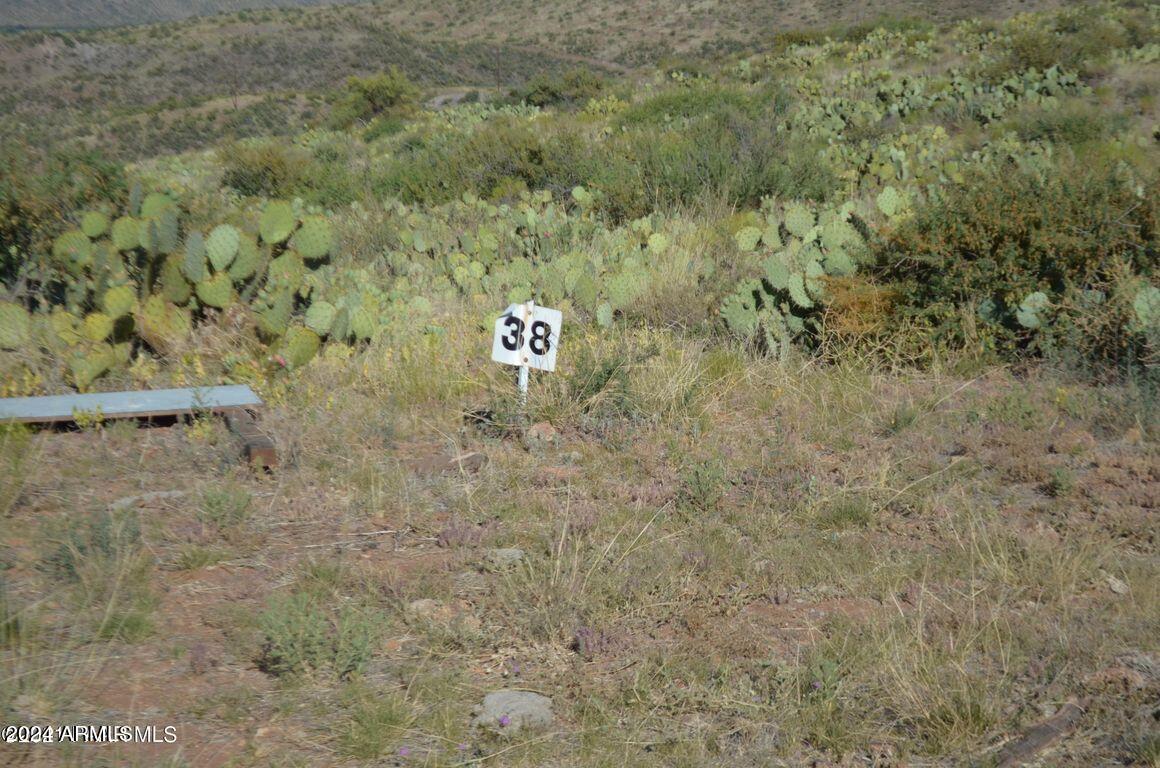 0 South Rim Fire, Unit 38B Skull Valley, AZ 86338 - Photo 15 of 15 20240130125541522413000000-o