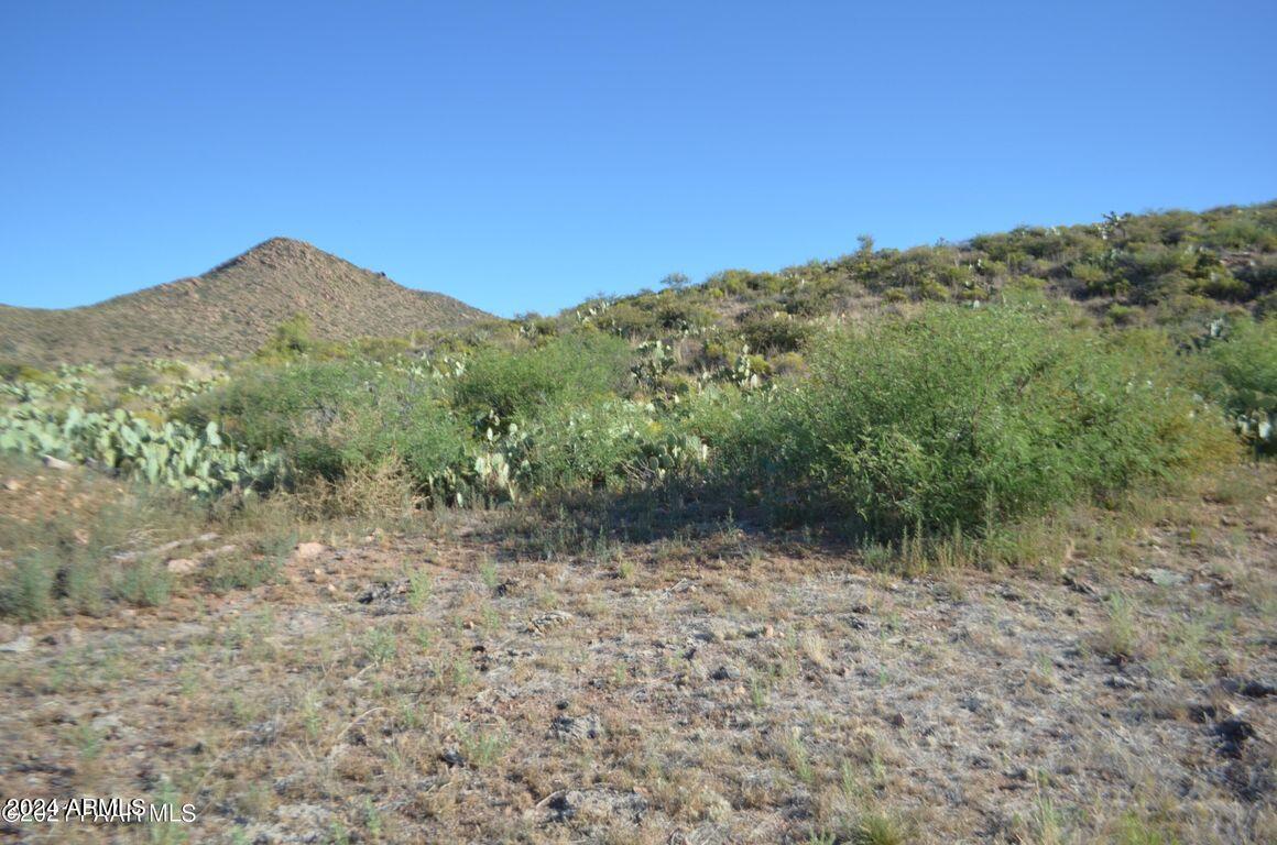 0 South Rim Fire, Unit 38B Skull Valley, AZ 86338 - Photo 5 of 15 20240130125532958626000000-o