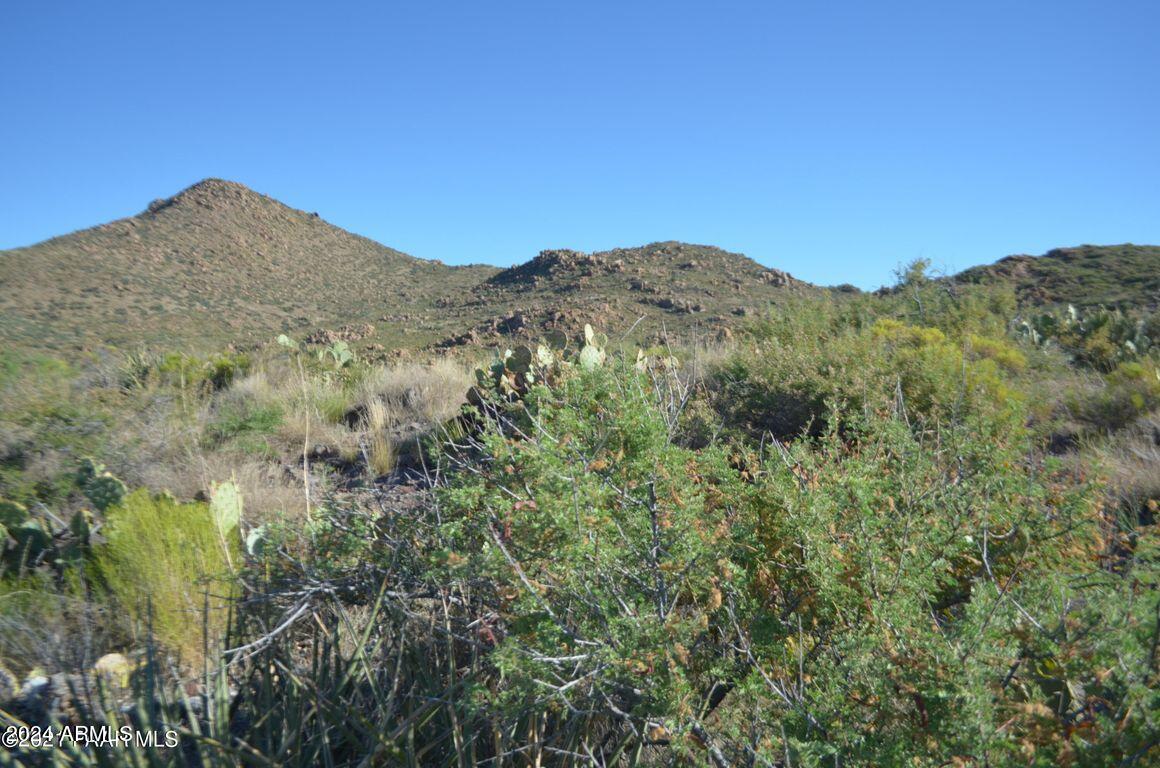 0 South Rim Fire, Unit 38B Skull Valley, AZ 86338 - Photo 7 of 15 20240130125534819221000000-o