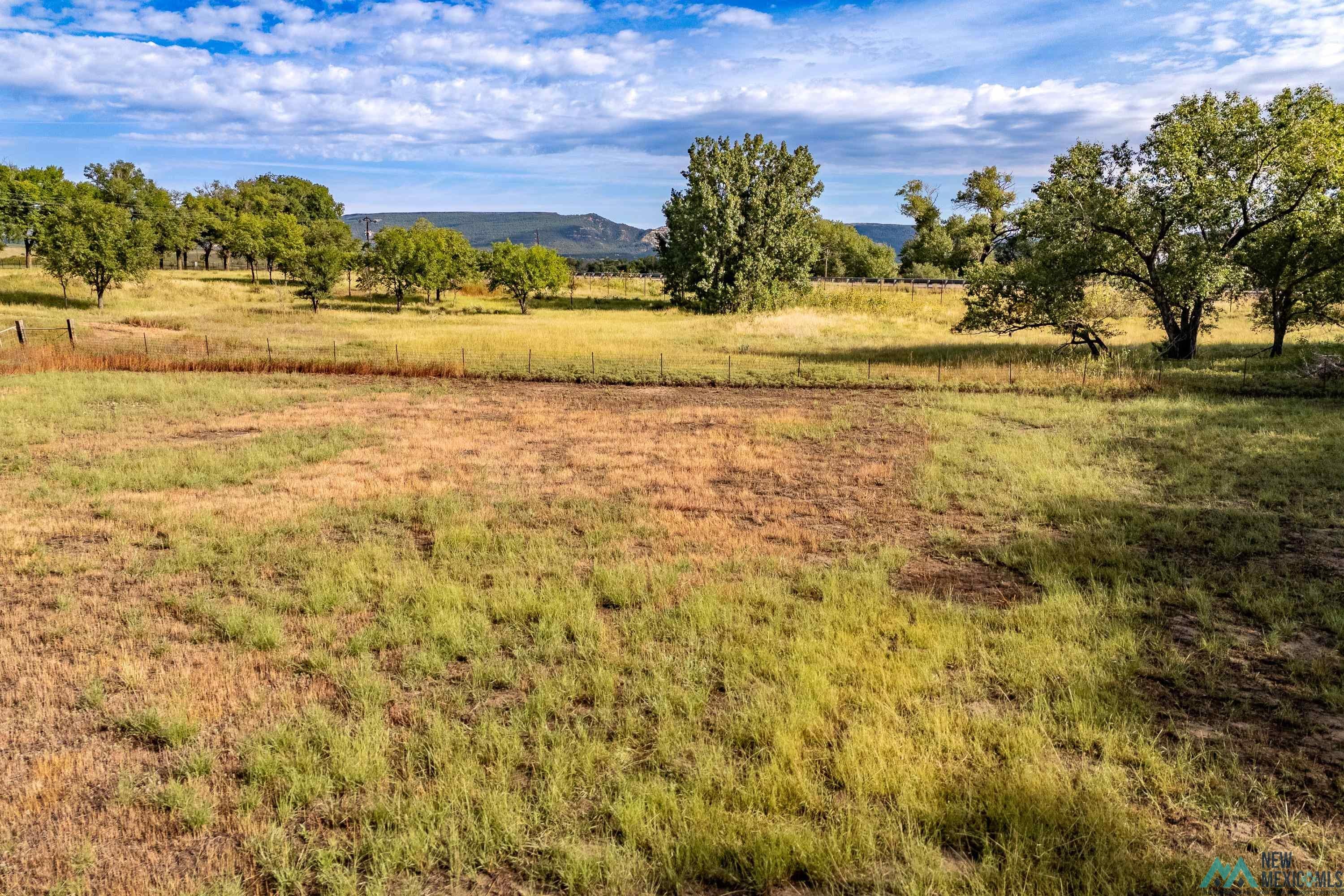 35234 Highway 87 Raton, NM 87740 - Photo 72 of 90 View of mountain backdrop with rural landscape