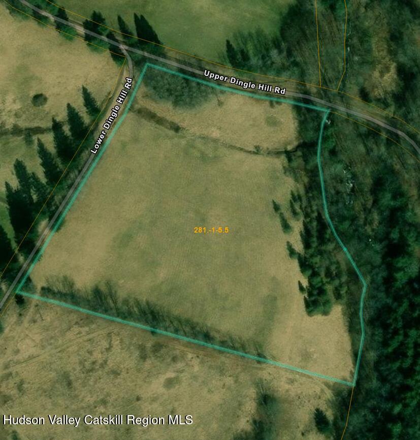 Tbd Upper Dingle Hill Road Andes, NY 13731 - Photo 33 of 44 Screenshot 2025-09-25 155008