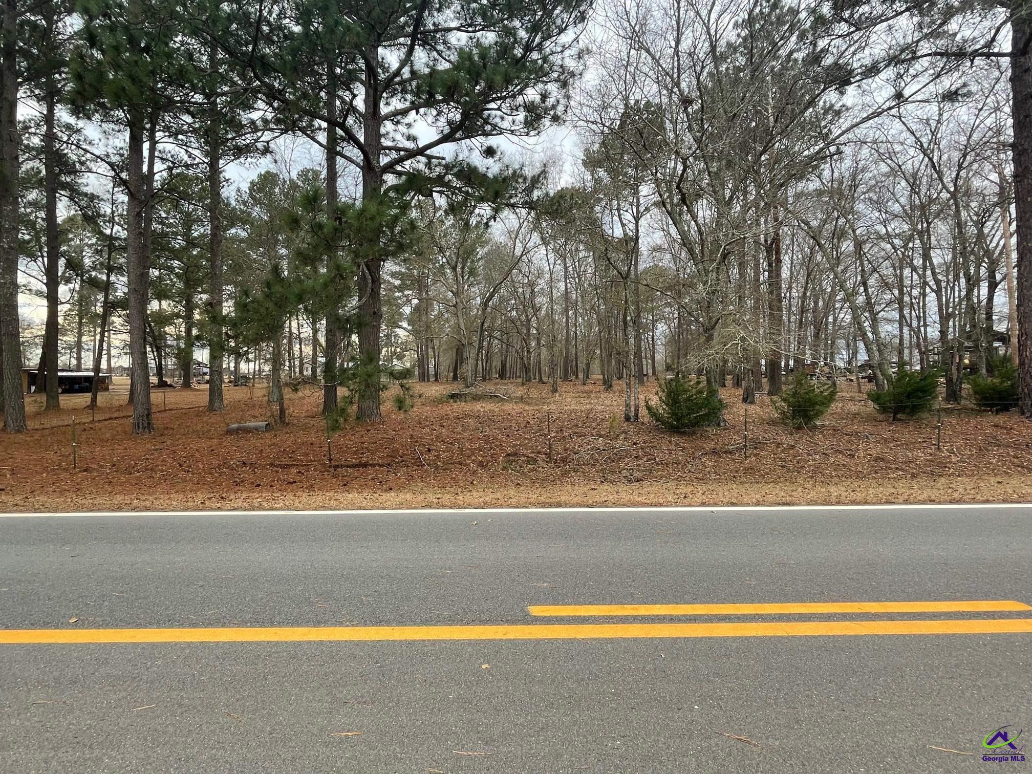 Bates Road Cochran, GA 31014 - Photo 6 of 11