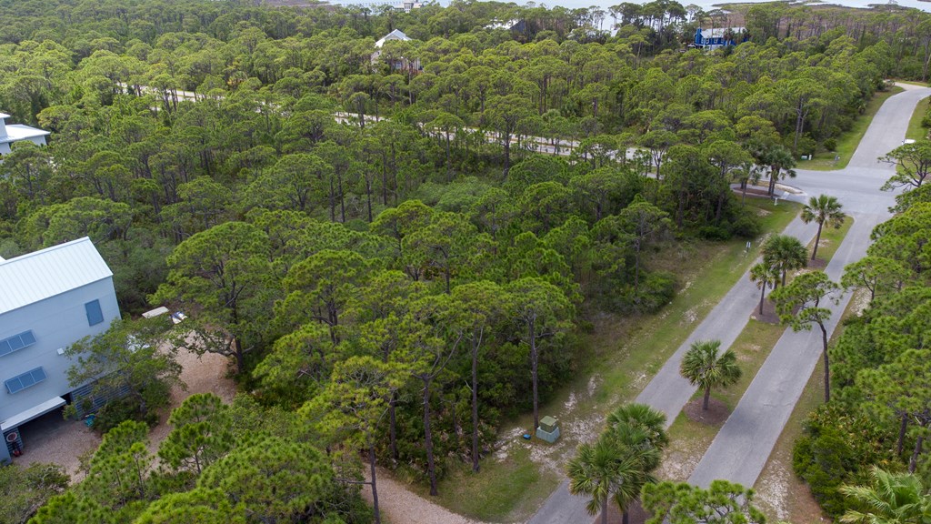 1752 Magnolia Road St. George Island, FL 32328 - Photo 3 of 27