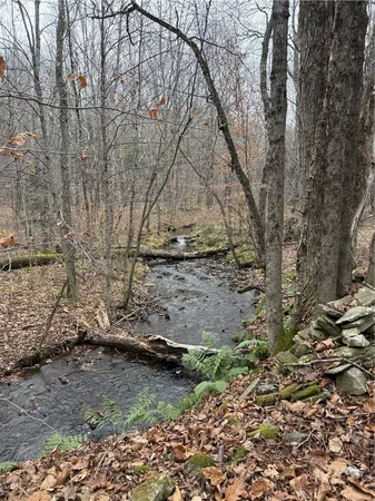 $95,000 | 1-8 South Worcester Hill Road, Harpersfield, NY 12093