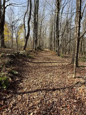 $95,000 | 1-8 South Worcester Hill Road, Harpersfield, NY 12093