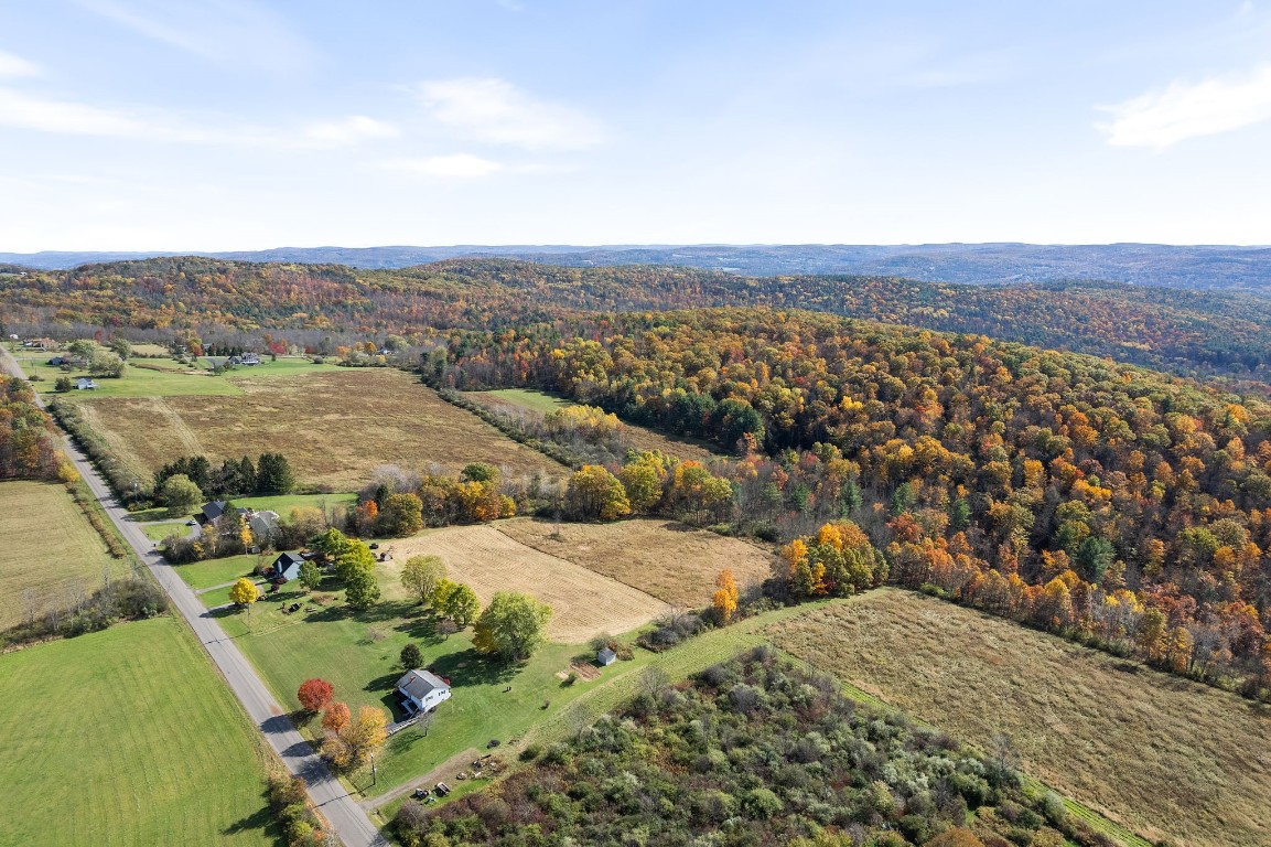 3543 Bornt Hill Road Endicott, NY 13760 - Photo 2 of 26