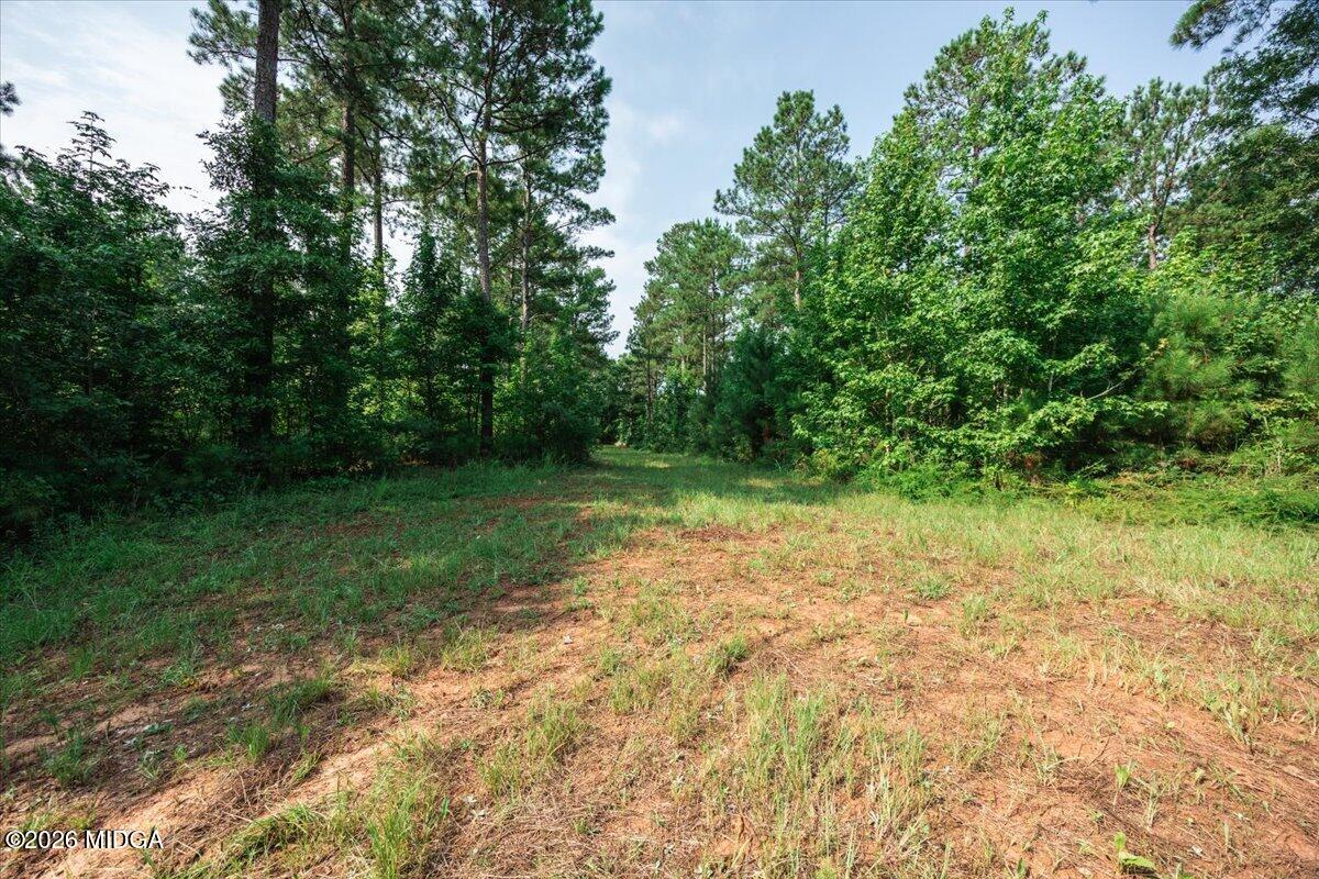 252 Rum Creek Road Juliette, GA 31046 - Photo 41 of 72 17-5W7A1581
