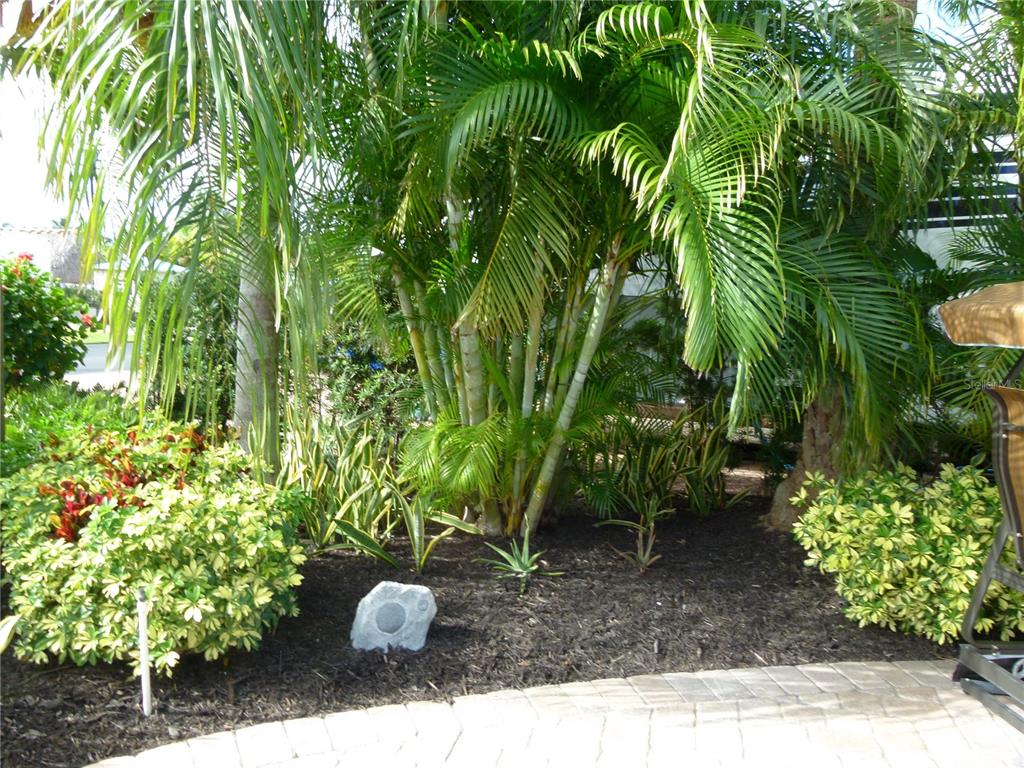 537 Southwest 40th Cove, Unit 73 Okeechobee, FL 34974 - Photo 13 of 23 a view of a garden with plants