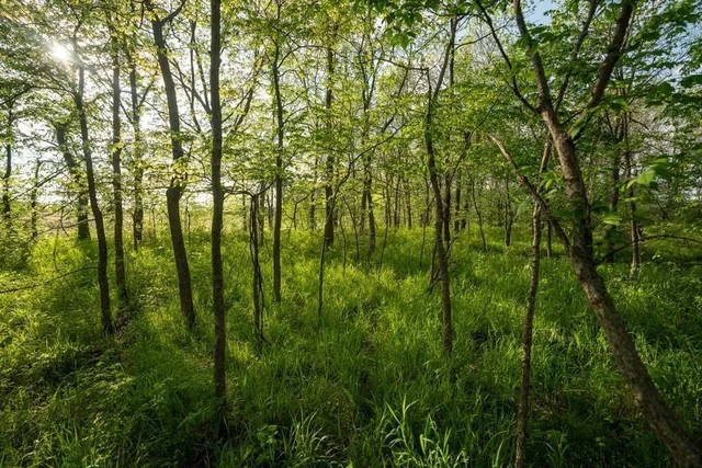 $707,490 | 39100 West 199th Street, Edgerton, KS 66021