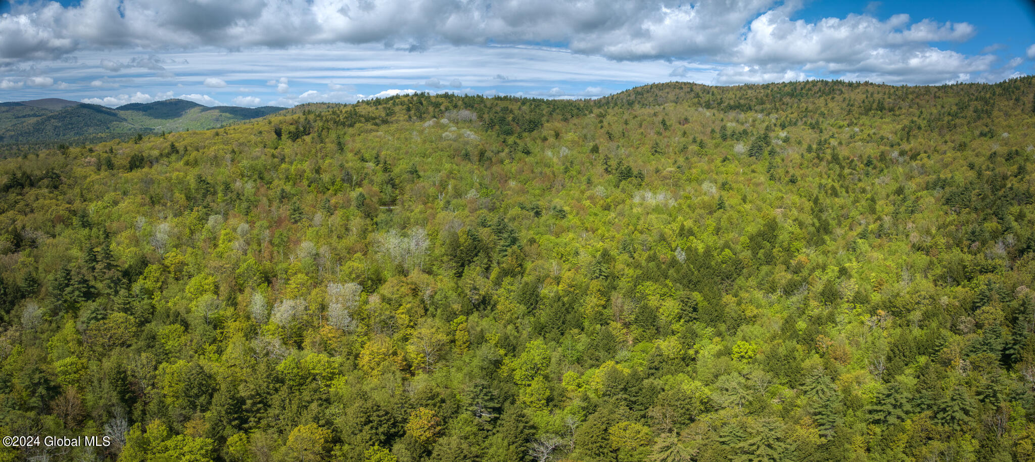 L63.011 Shaw Road, Unit A2 Lake George, NY 12845 - Photo 11 of 13 DJI_20240513104722_0150_D-Pano