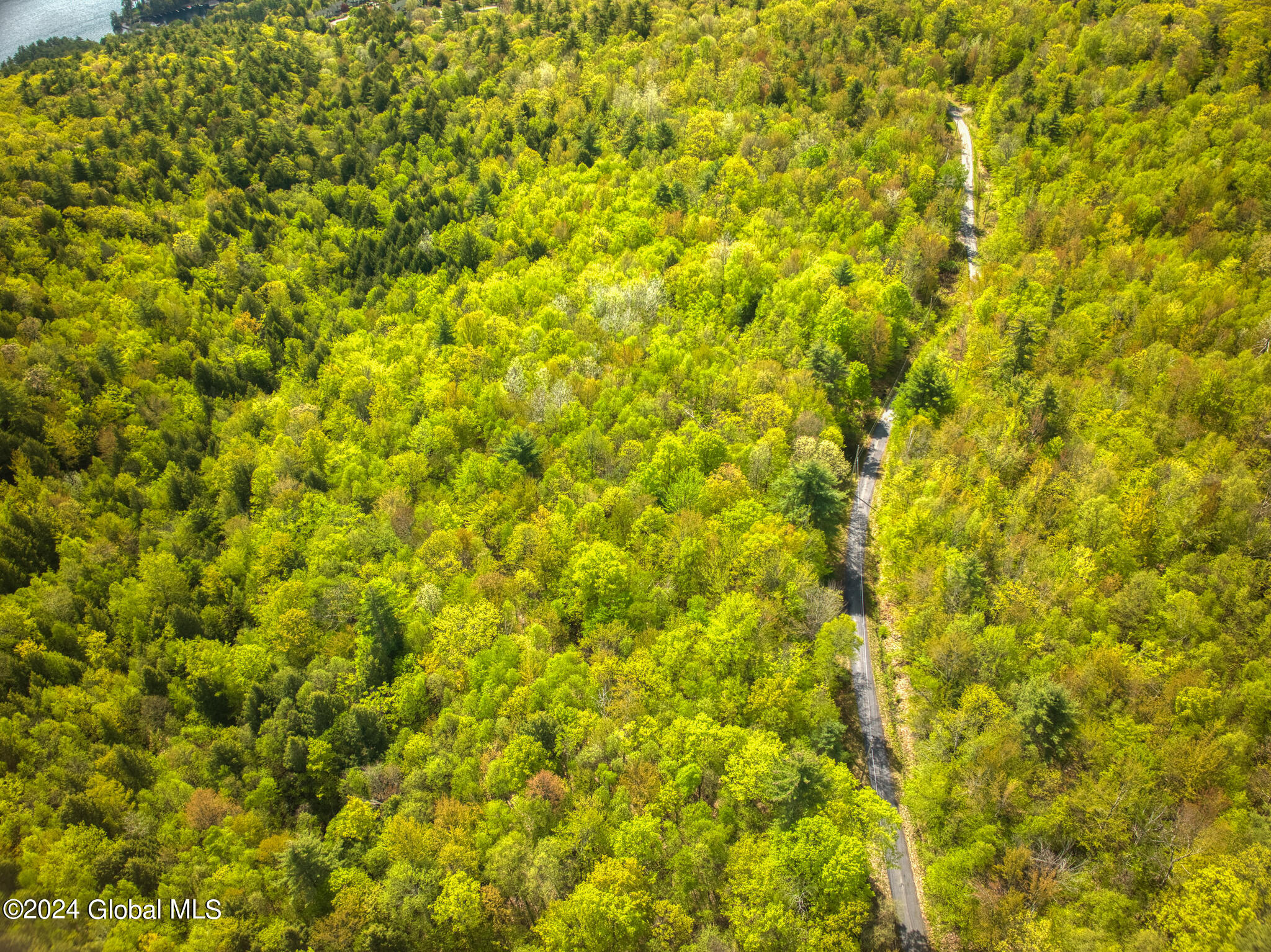 L63.011 Shaw Road, Unit A2 Lake George, NY 12845 - Photo 10 of 13 DJI_20240513102708_0026_D