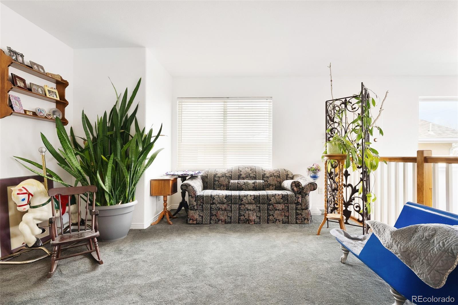 5308 Stuart Street Denver, CO 80212 - Photo 15 of 33 a living room with furniture a potted plant and a potted plant
