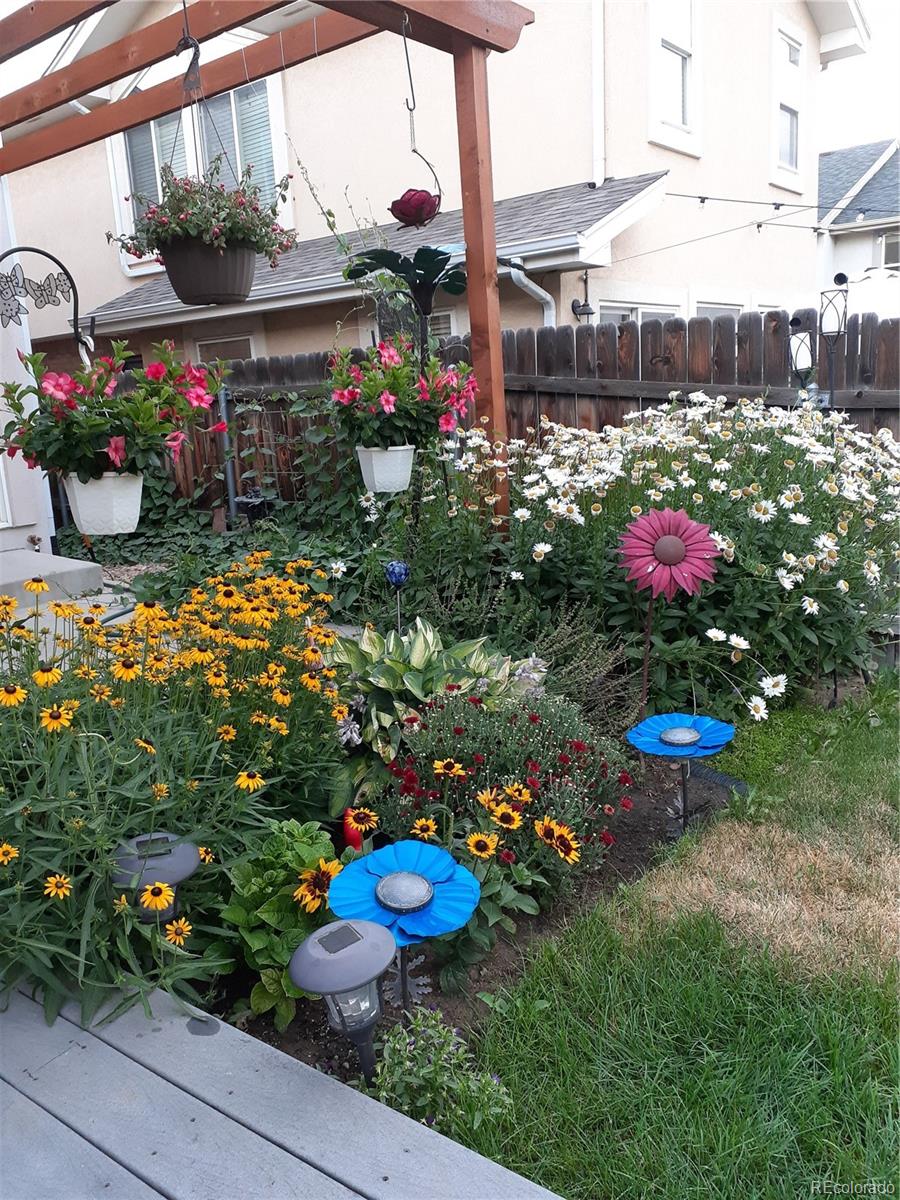 5308 Stuart Street Denver, CO 80212 - Photo 31 of 33 a bunch of flowers are in a yard