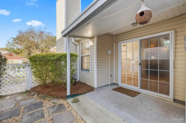 a view of a large trees with large tree