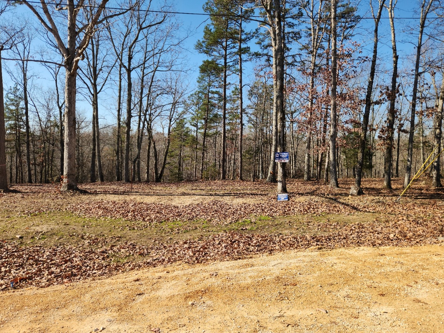 101 Bella Way Hohenwald, TN 38462 - Photo 3 of 3