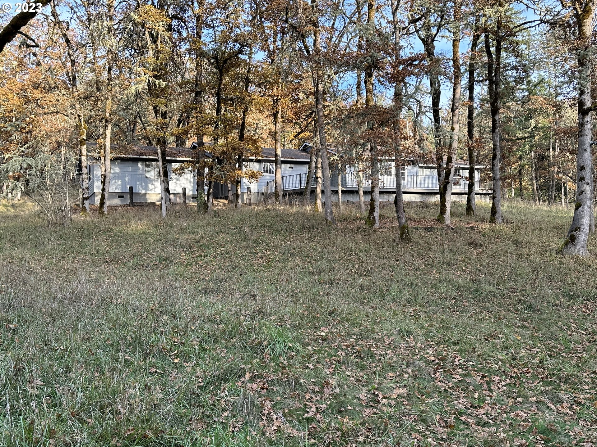 a view of a yard with large trees