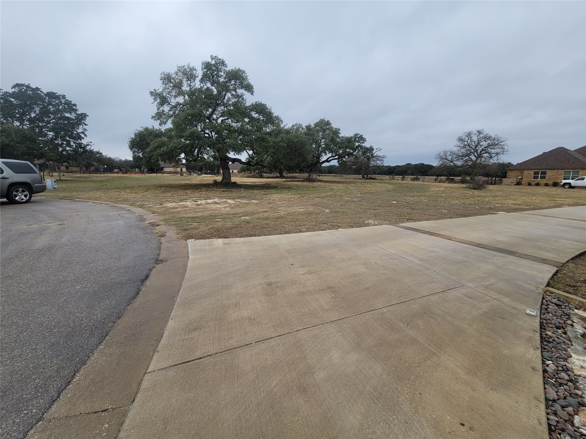 104 Gabgrove Court Georgetown, TX 78633 - Photo 5 of 11 Expansive property featuring mature trees and a paved driveway, with a section of landscaping visible