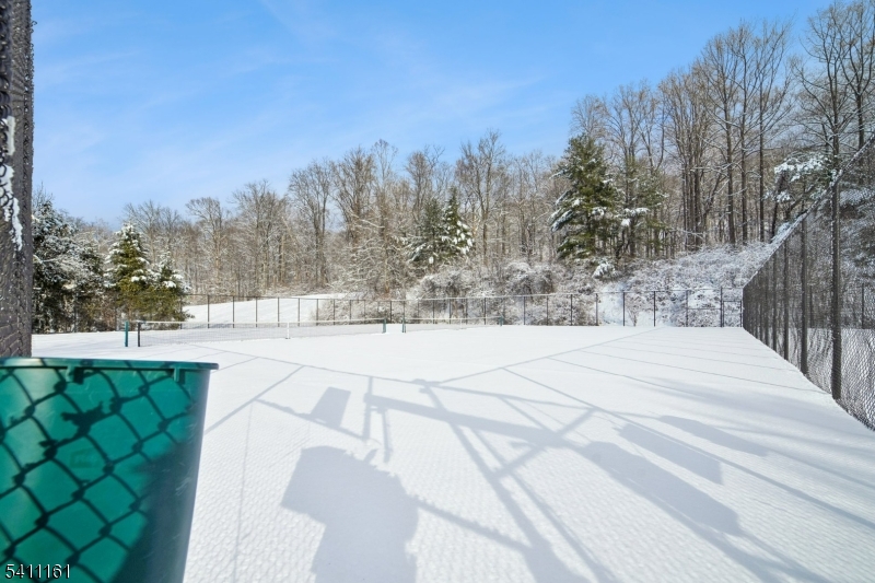 19 Birchwood Road, Unit 19 Bedminster, NJ 07921 - Photo 31 of 41