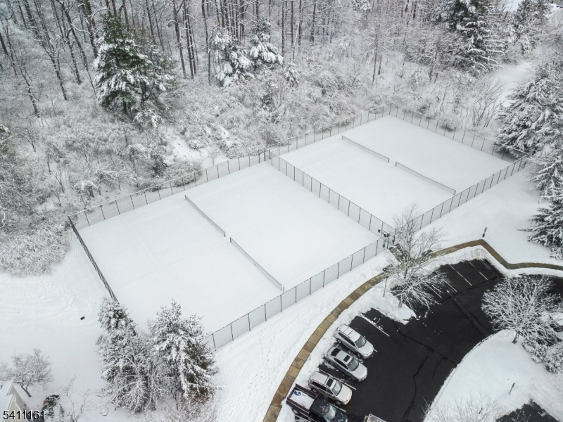 19 Birchwood Road, Unit 19 Bedminster, NJ 07921 - Photo 39 of 41