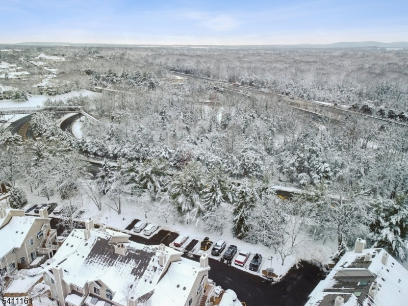 19 Birchwood Road, Unit 19 Bedminster, NJ 07921 - Photo 41 of 41