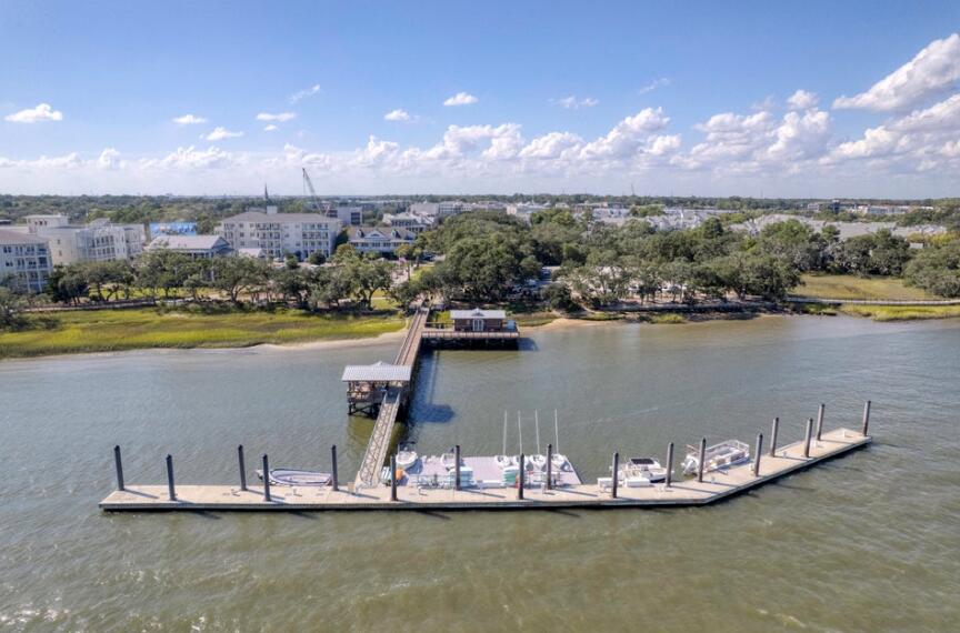 1063 Barfield Street Daniel Island, SC 29492 - Photo 46 of 51 7