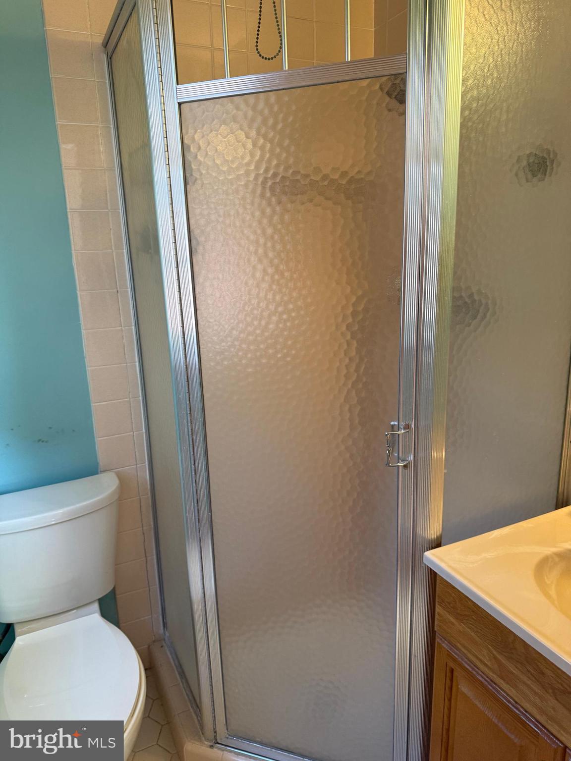 7314 Hill Road Philadelphia, PA 19128 - Photo 45 of 68 a white toilet sitting next to a shower