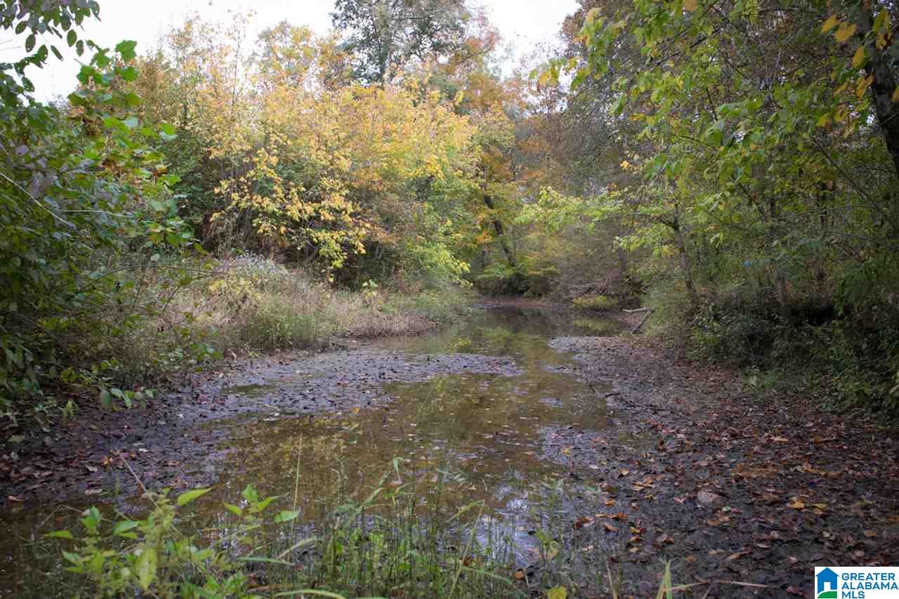 341 Happy Knoll Road Ashville, AL 35953 - Photo 38 of 47