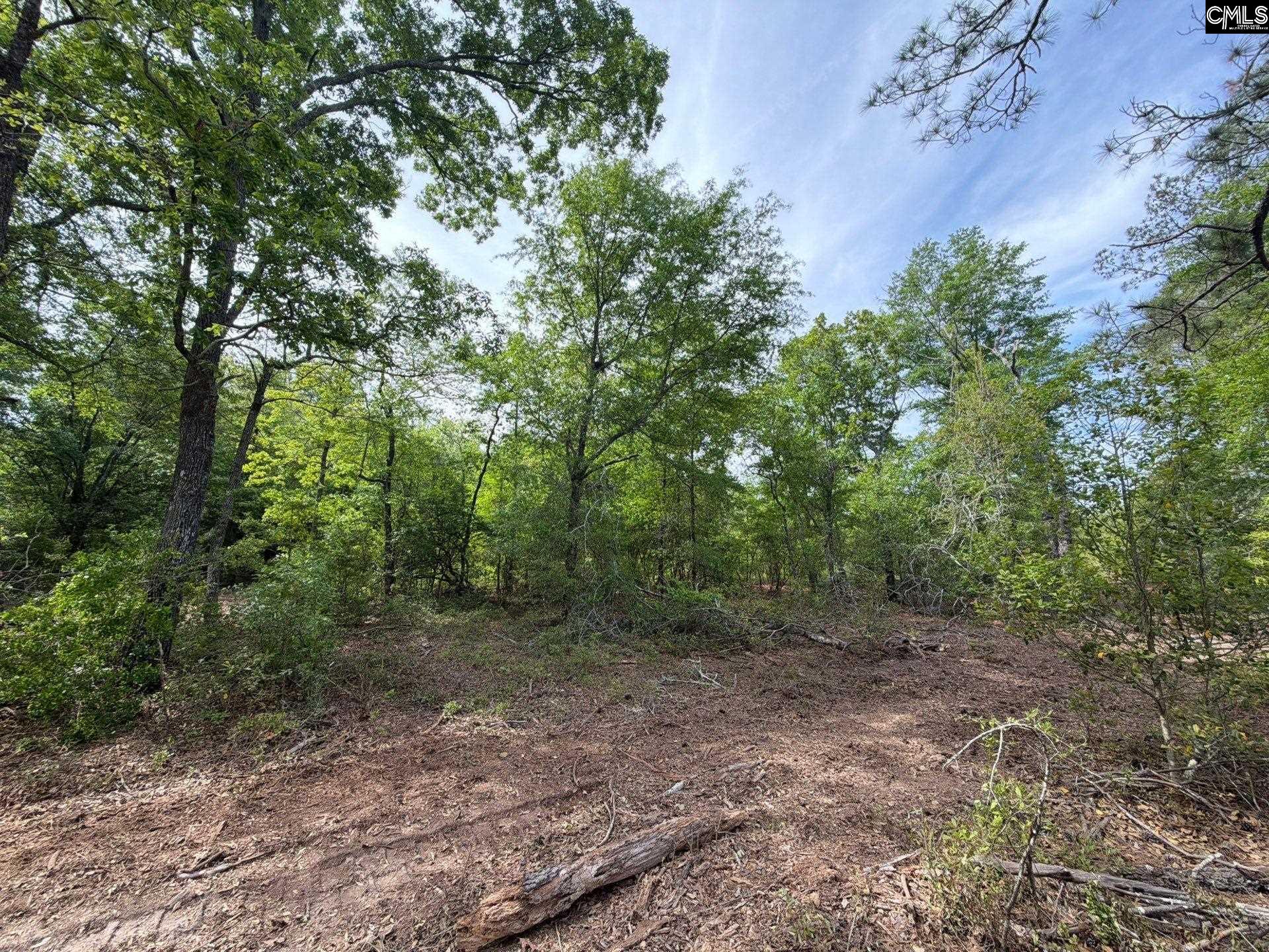 2 Rogers Cemetery Road Aiken, SC 29801 - Photo 4 of 26