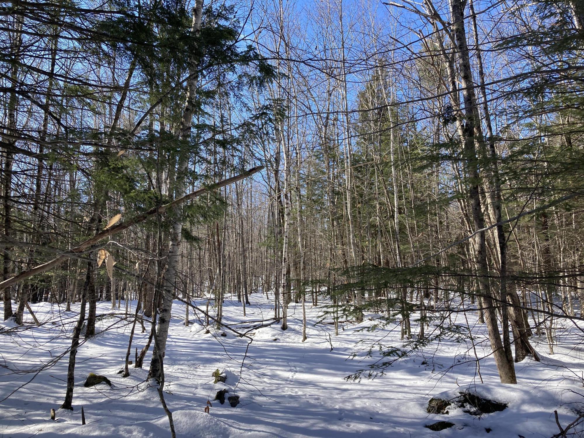 M7-l99h Bolton Hill Road Augusta, ME 04330 - Photo 17 of 30 39