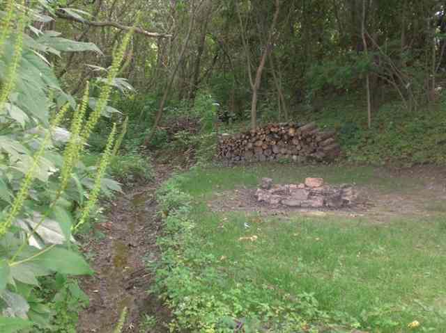 193 Blue Heron Road Lacon, IL 61540 - Photo 4 of 15