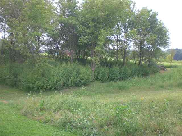 193 Blue Heron Road Lacon, IL 61540 - Photo 5 of 15