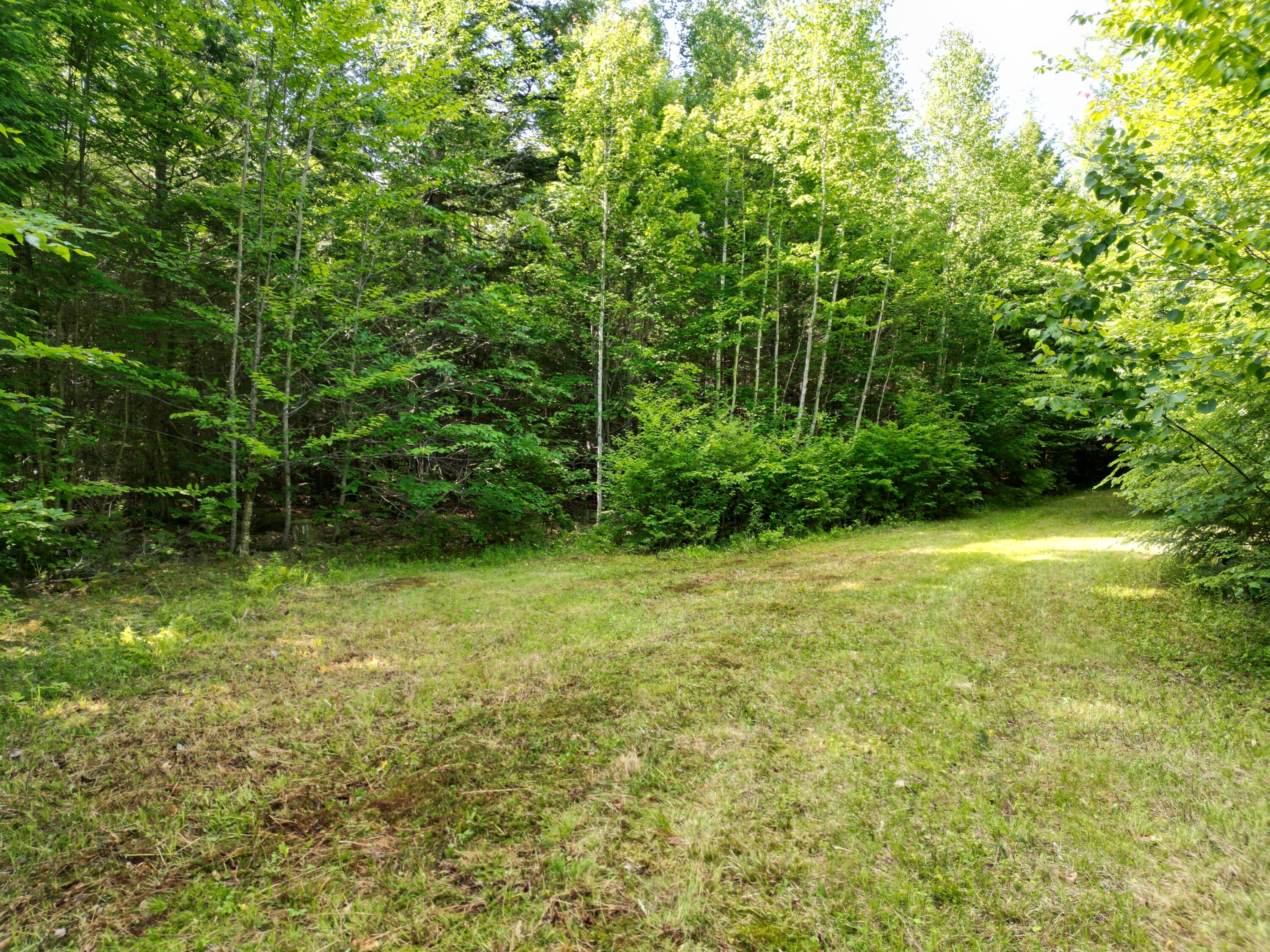 195 West Old Main Road Lowell, ME 04493 - Photo 7 of 18 DJI_0782