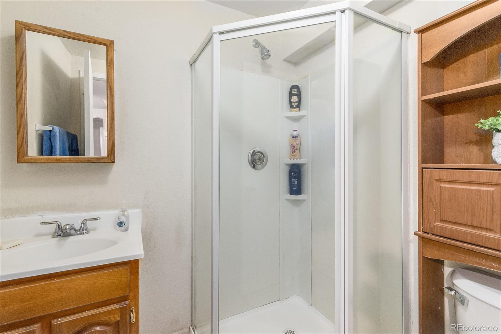 9897 Bathurst Way Highlands Ranch, CO 80130 - Photo 23 of 30 Gallery Image 23