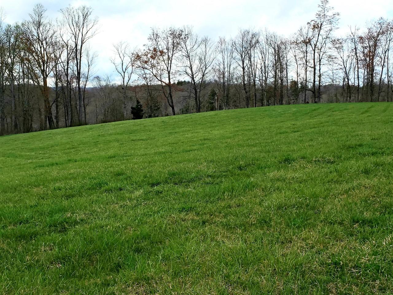 636 Beards Creek Road Ferrum, VA 24088 - Photo 38 of 52 636 beards left side property 3