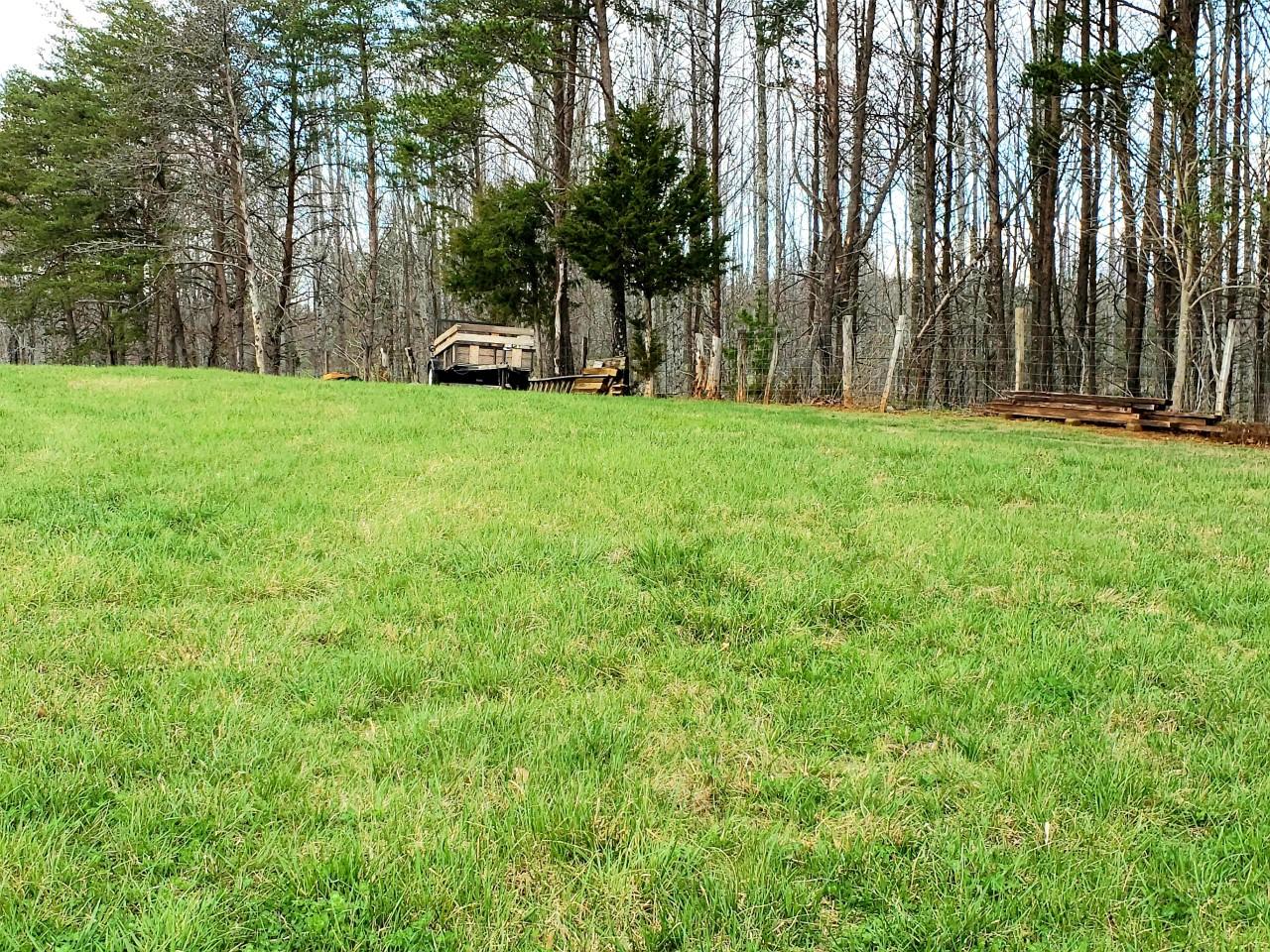 636 Beards Creek Road Ferrum, VA 24088 - Photo 48 of 52 636 beards rear property line fence