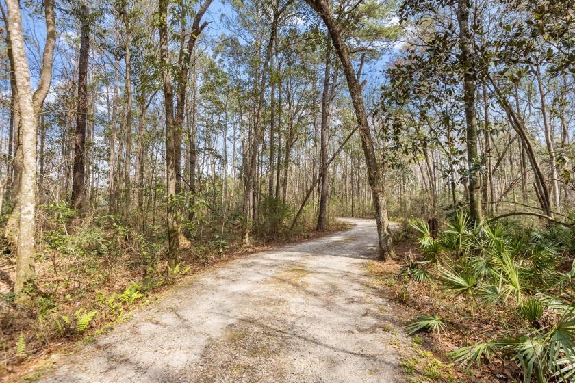 1692 Freeman Road Lamont, FL 32336 - Photo 1 of 33 Gallery Image 1