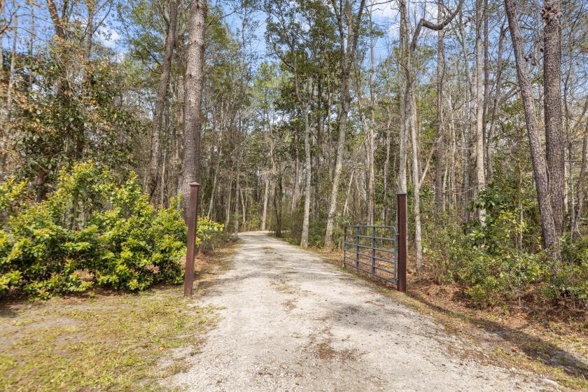 1692 Freeman Road Lamont, FL 32336 - Photo 2 of 33 Gallery Image 2