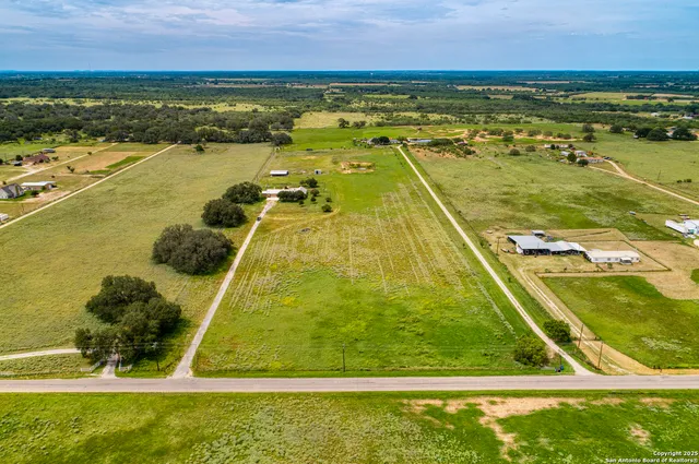 a view of a garden with lawn chairs and large trees