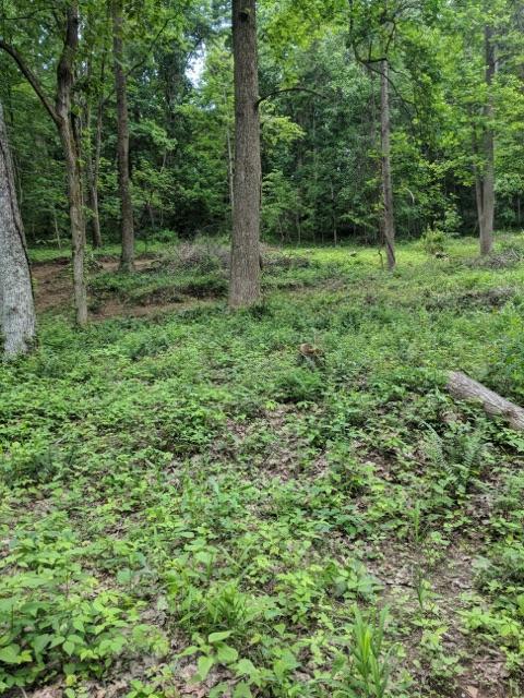 0 McGrery Road Southeast, Unit LOT 4) Lancaster, OH 43130 - Photo 3 of 5