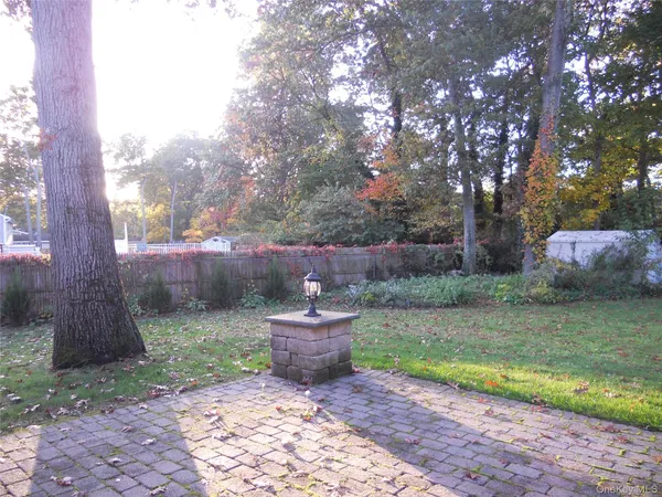a view of a backyard with plants and trees