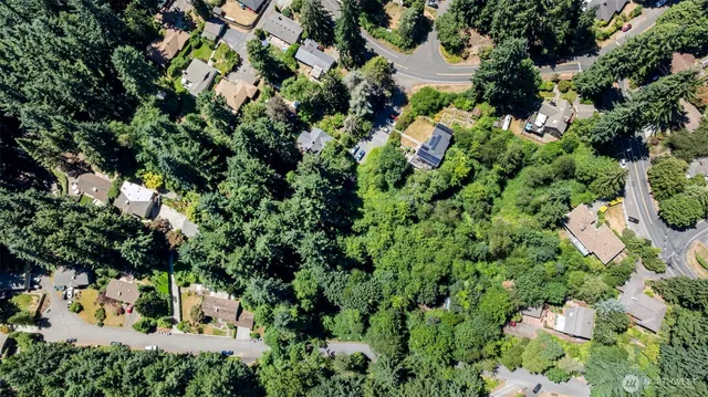 a view of a garden with a tree