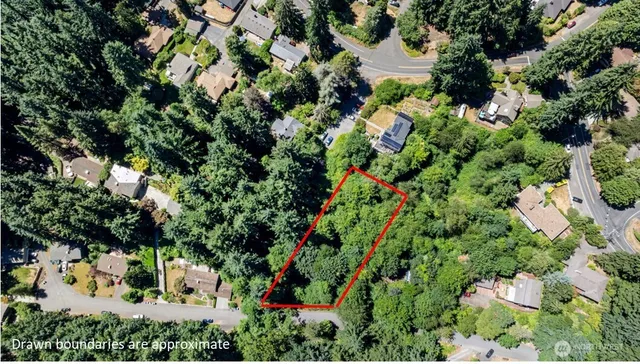 a view of a garden with plants