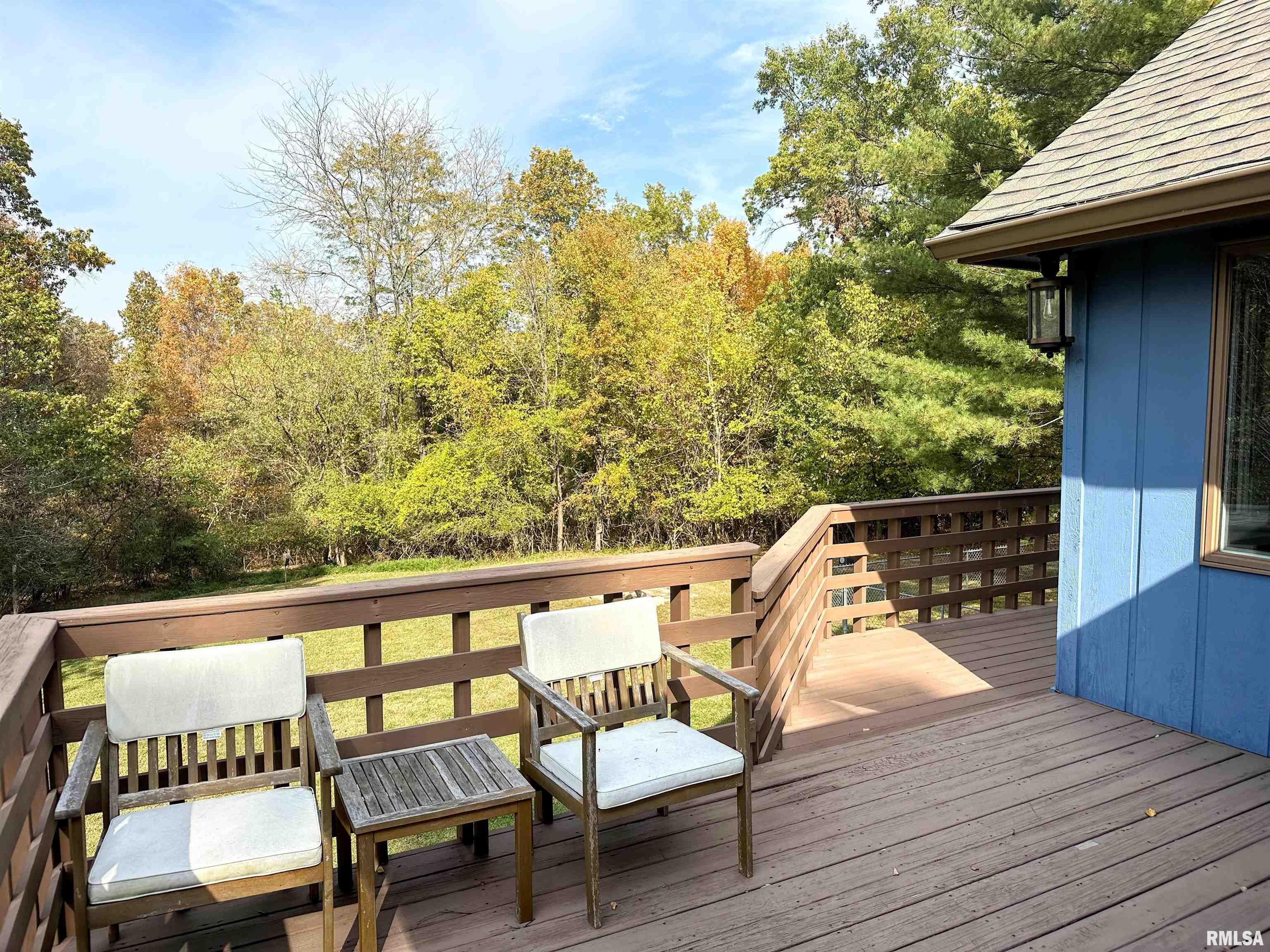 73 Upper Brush Hill Road Carbondale, IL 62901 - Photo 39 of 79