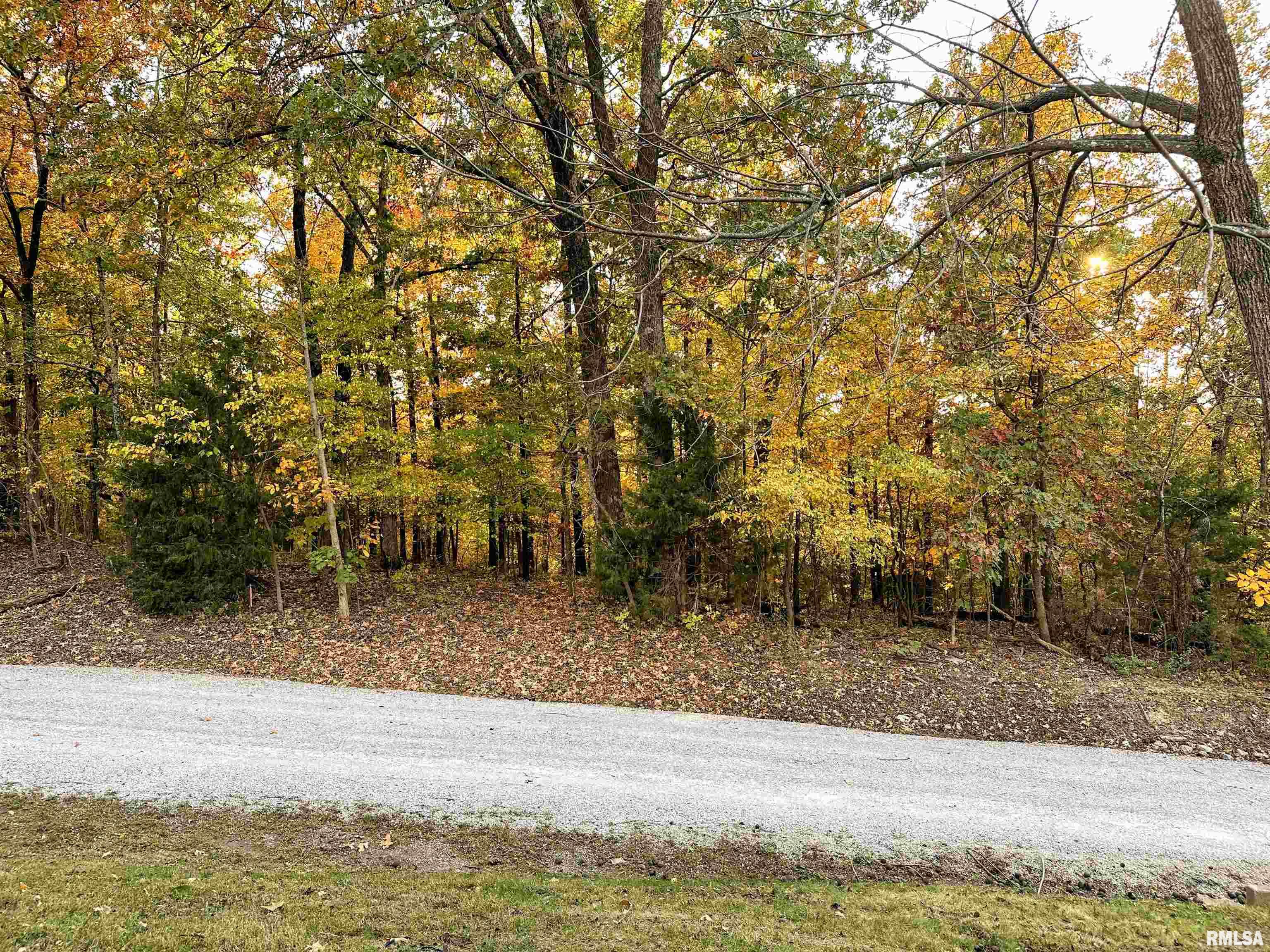 73 Upper Brush Hill Road Carbondale, IL 62901 - Photo 75 of 79