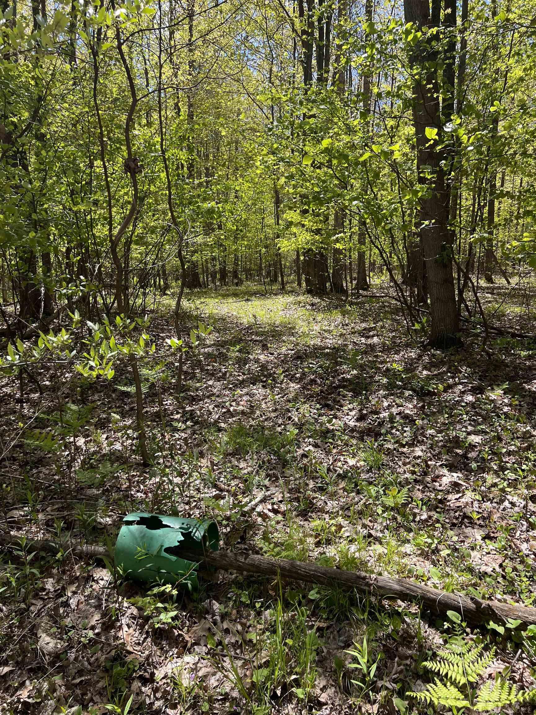 1546 East Birch Run Road Burt, MI 48417 - Photo 83 of 99 Gallery Image 83