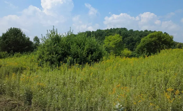 $45,000 | 0 New Boston Road, Unit 1 2 3, St. Johnsbury, VT 05819