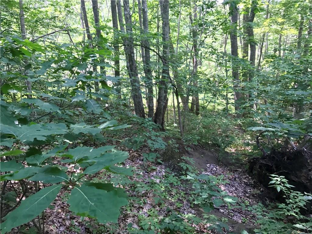 Lot 35 Hope Road Lincolnville, ME 04849 - Photo 3 of 7 Photo